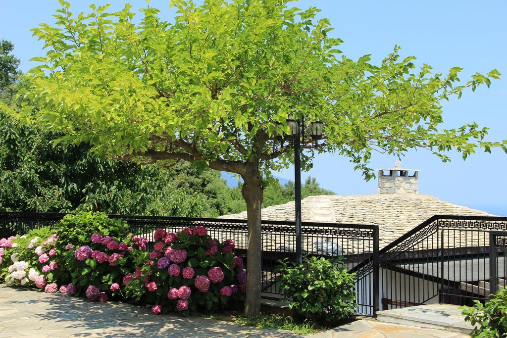 Hotel Aglaida Apartments ツァガラダ エクステリア 写真